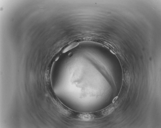 X0000087550181200705041337