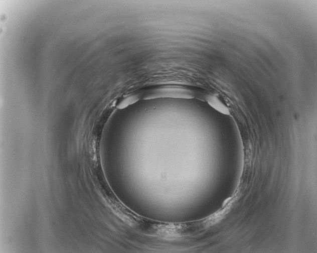 X0000087550182200705041337