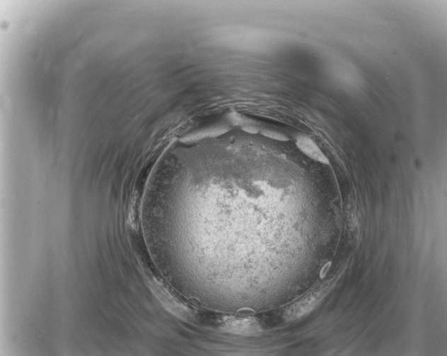 X0000087550185200705041337