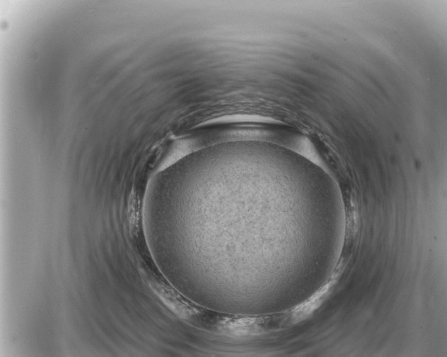 X0000087550186200705041337