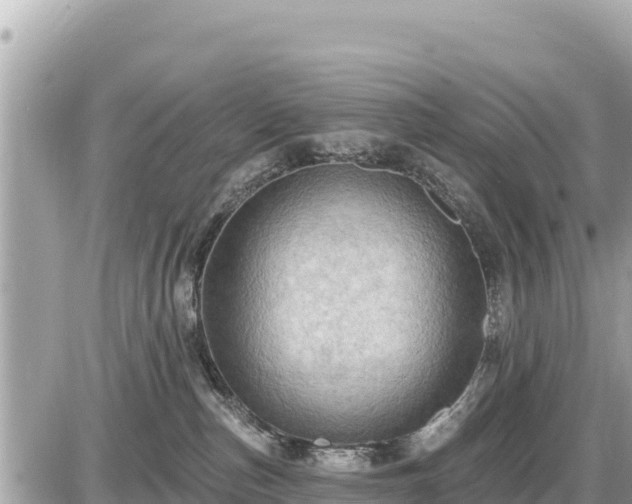 X0000087550187200705041337