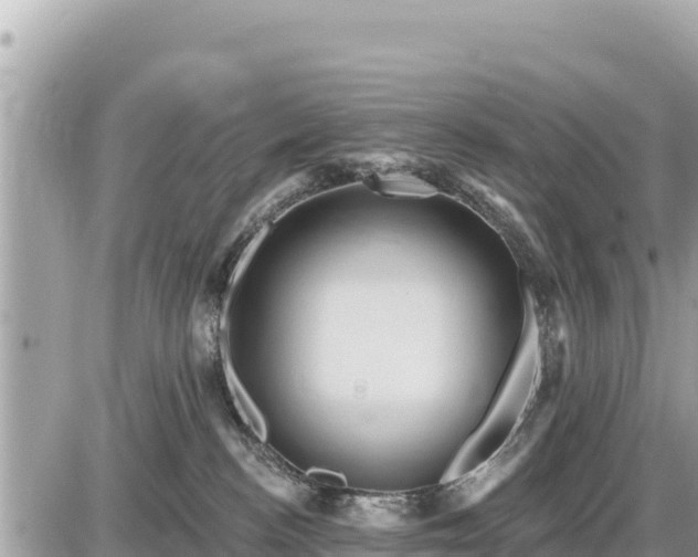 X0000087550188200705041337