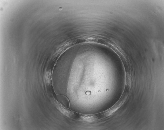 X0000087550189200705041337