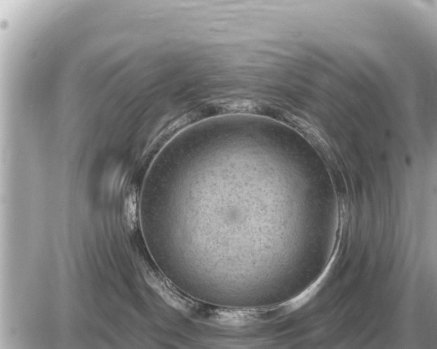 X0000087550190200705041337