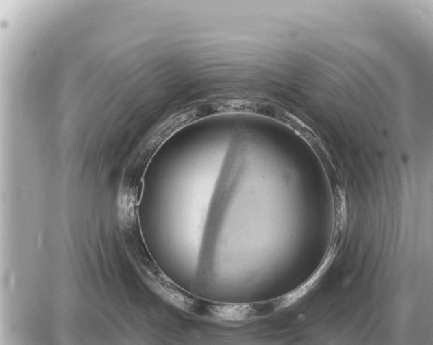 X0000087550191200705041337