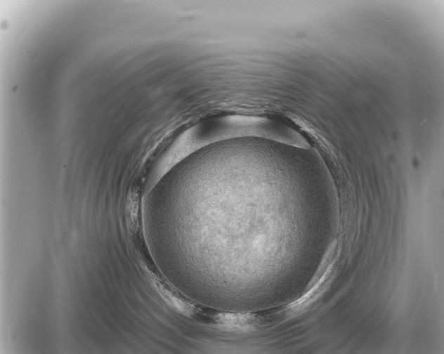 X0000087550192200705041337