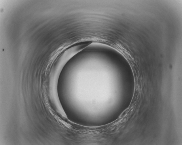 X0000087550193200705041336