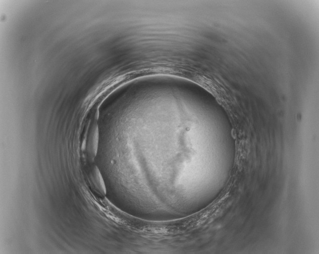 X0000087550194200705041336