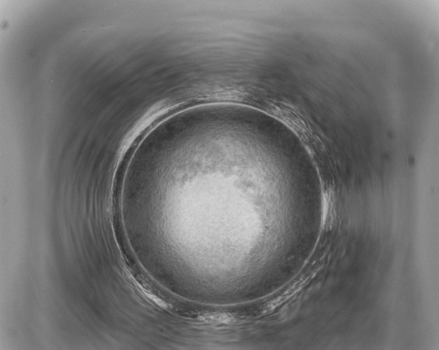 X0000087550195200705041336