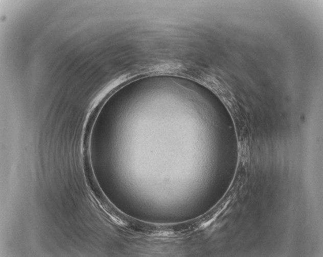 X0000087550196200705041336