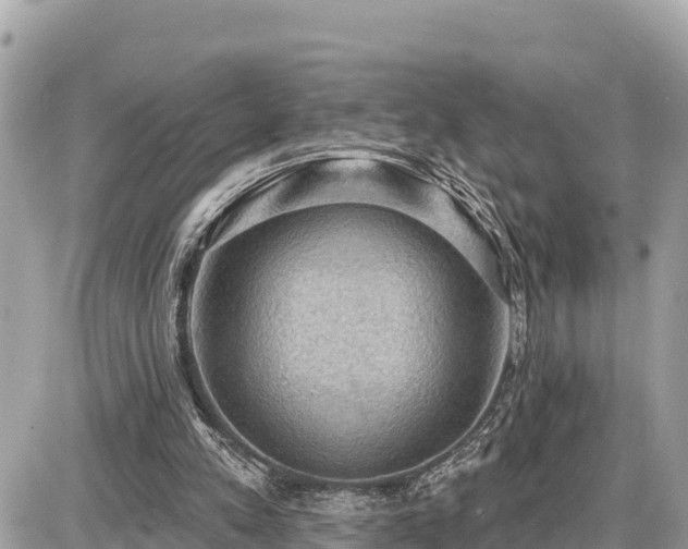 X0000087550197200705041336