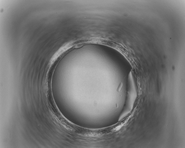 X0000087550198200705041336