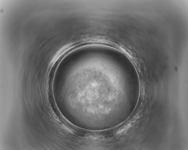 X0000087550199200705041336