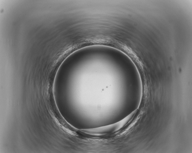 X0000087550201200705041336