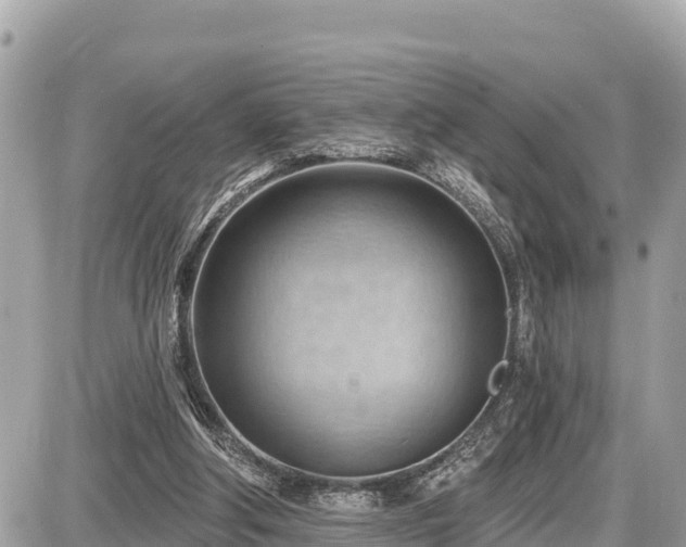 X0000087550202200705041336