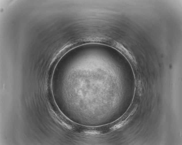 X0000087550203200705041336