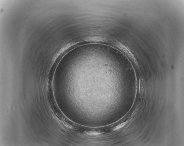 X0000087550204200705041336