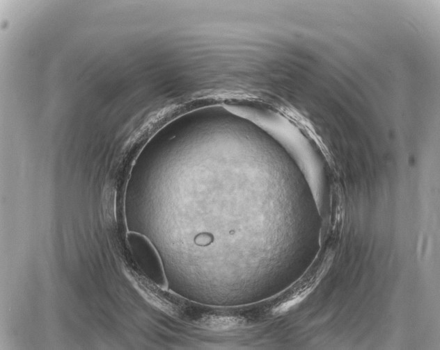 X0000087550205200705041336