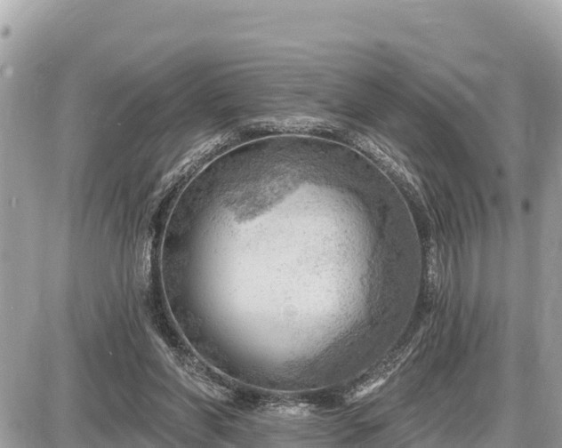 X0000087550206200705041336