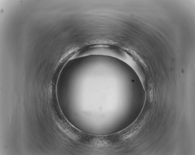 X0000087550207200705041336