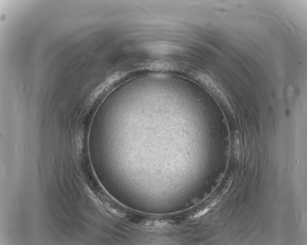 X0000087550208200705041336