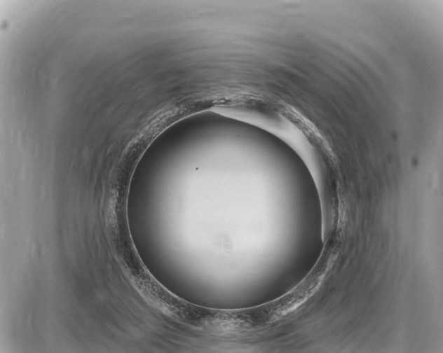 X0000087550209200705041336