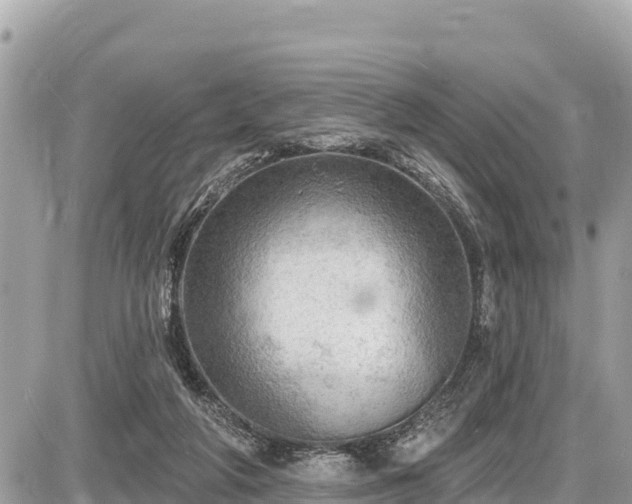 X0000087550210200705041336