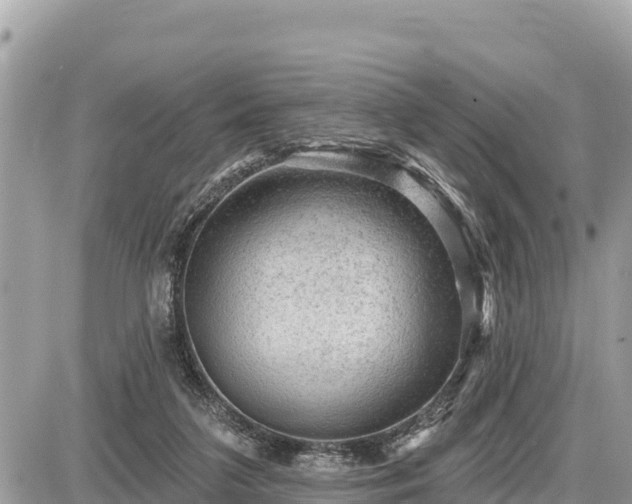 X0000087550211200705041336