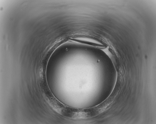 X0000087550212200705041336