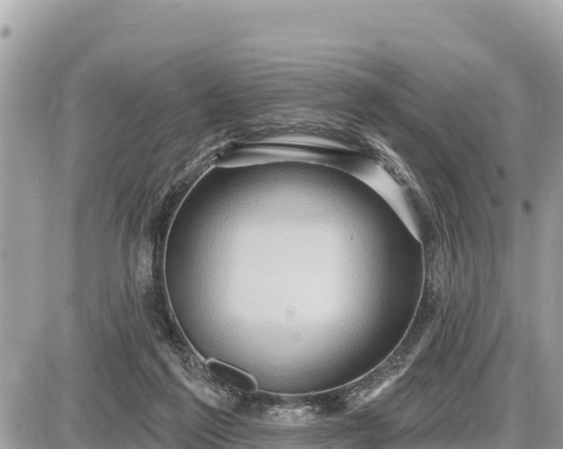 X0000087550213200705041336