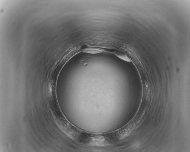 X0000087550214200705041336