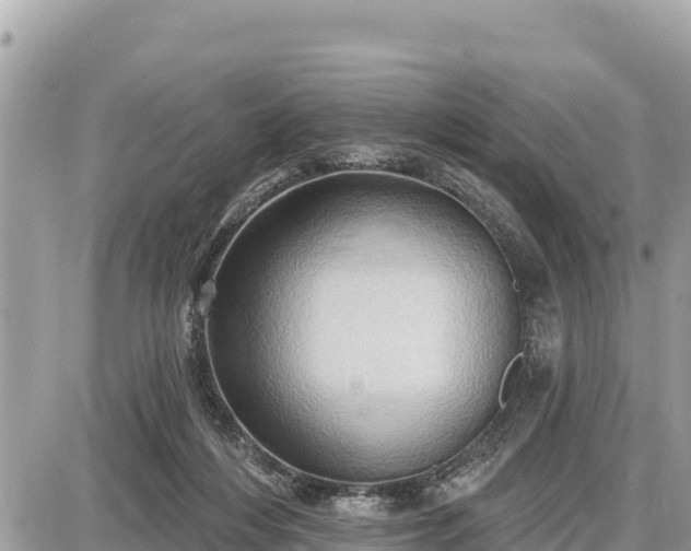 X0000087550216200705041336