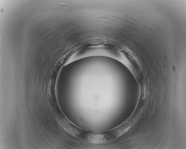 X0000087550217200705041336