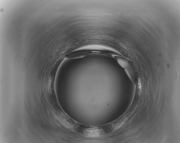 X0000087550219200705041336