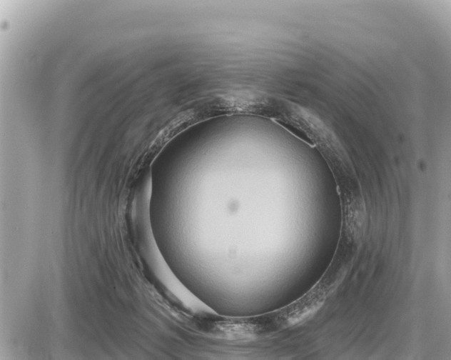 X0000087550221200705041336