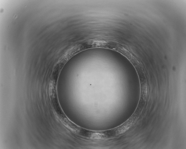 X0000087550222200705041336