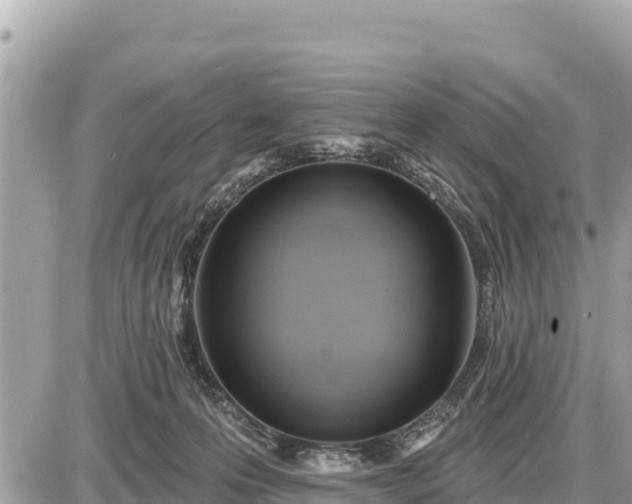 X0000087550223200705041336