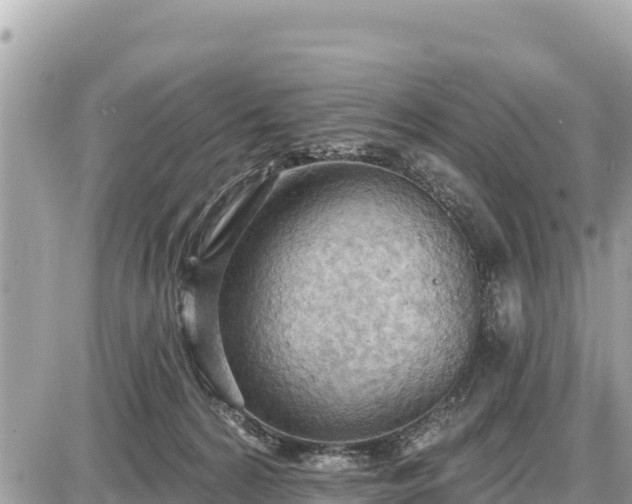 X0000087550224200705041336