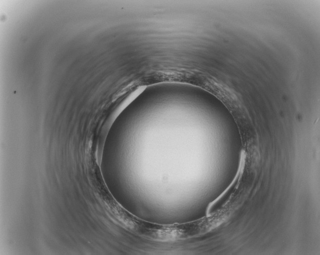 X0000087550225200705041336