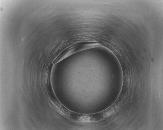 X0000087550227200705041336