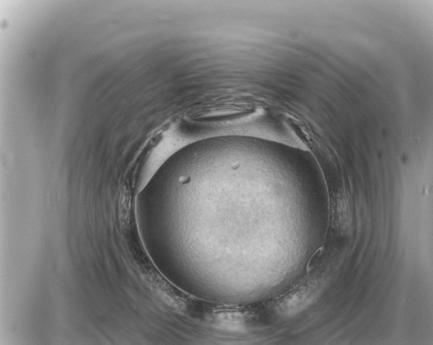 X0000087550228200705041336