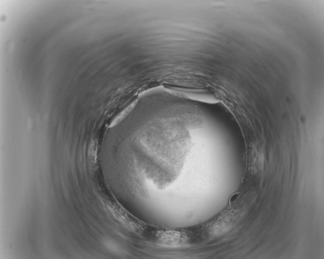 X0000087550230200705041336