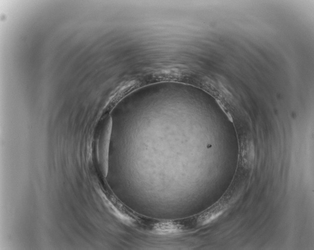 X0000087550231200705041336