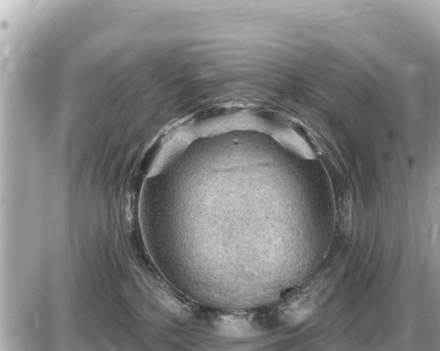 X0000087550232200705041336