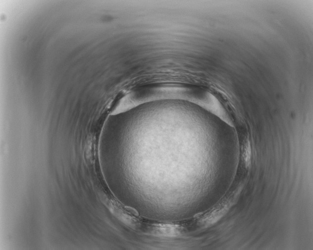 X0000087550233200705041336