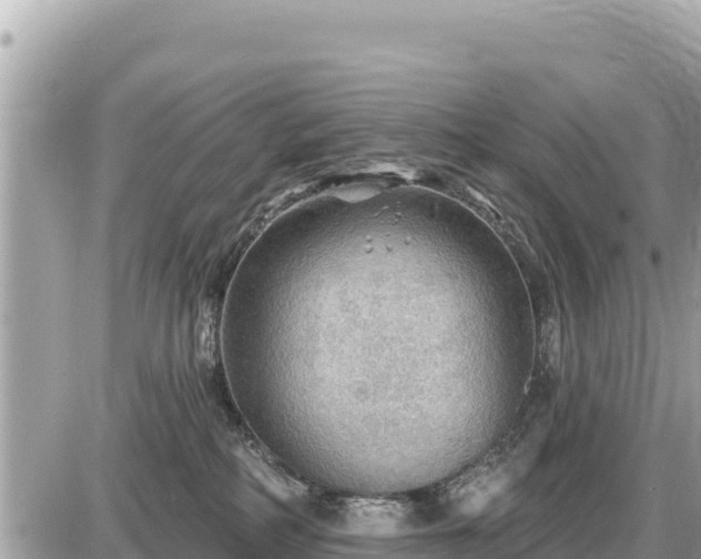 X0000087550234200705041336