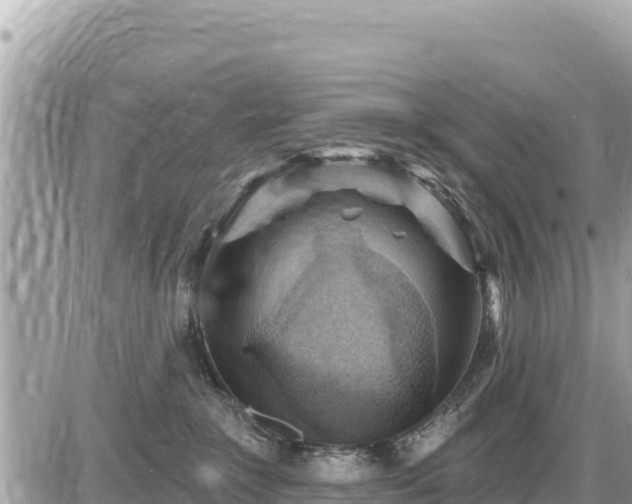 X0000087550235200705041336