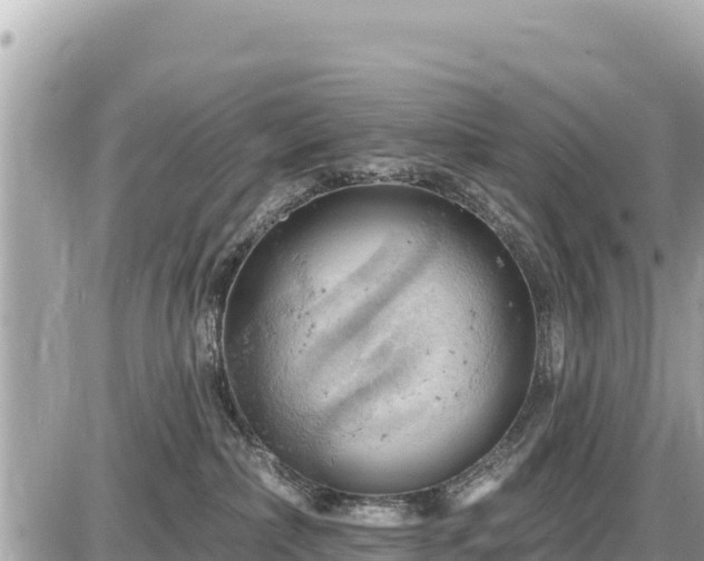 X0000087550236200705041336