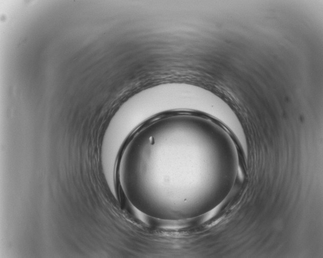 X0000087550237200705041336