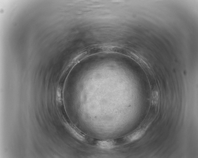 X0000087550238200705041336